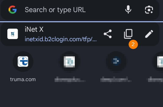 How can I store my login data for use with the iNet X App?